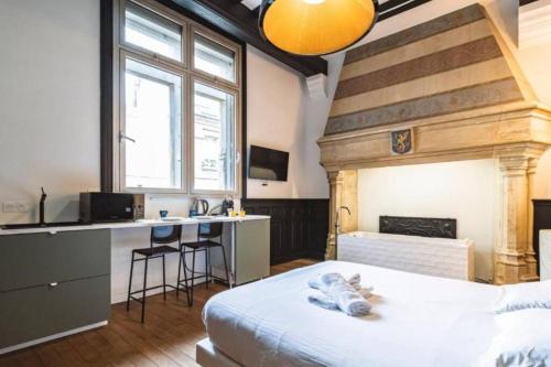 Il comprend une chambre avec un lit, une cuisine et une cheminée. dans l'établissement Fire, Appartement vue Cathédrale, à Reims