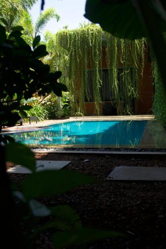 Kolam renang di atau dekat dengan Jack & Rose - Hiriketiya, Haven Garden Properties