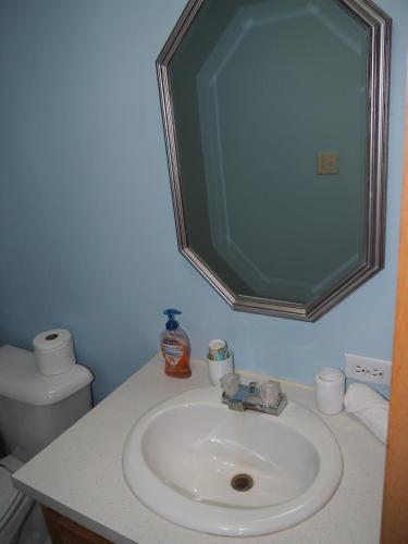 a bathroom with a sink with a mirror and a toilet at The Green Lake Getaway - Shared Lake Access! in Interlochen