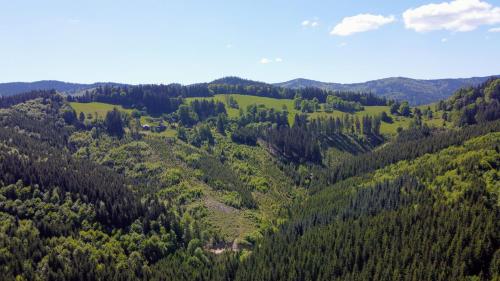 an aerial view of a green hillside with trees at Chalupa Štrčková - srdce Valašska in Vsetín