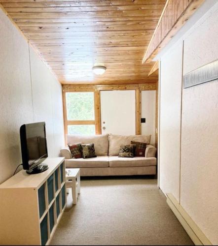 Televisyen dan/atau pusat hiburan di Cozy Pet Friendly Getaway W Fireplace