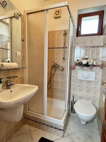 a bathroom with a shower and a toilet and a sink at Brigetio Kúria in Komárom