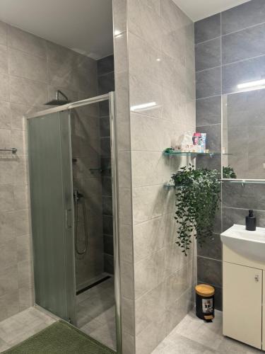 a bathroom with a shower and a sink at Apartmán OLLY in Žilina