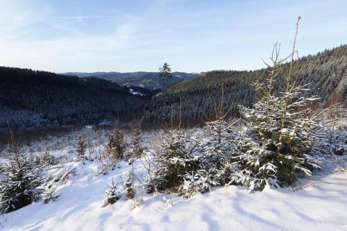 a snow covered hill with trees in the distance at Chalupa Štrčková - srdce Valašska in Vsetín