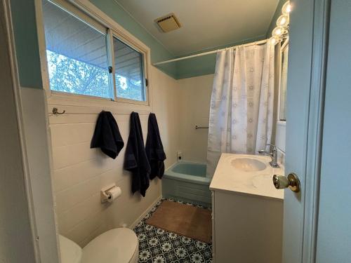 a bathroom with a toilet and a sink and a tub at Artistic Haven By The Beach in Wiarton