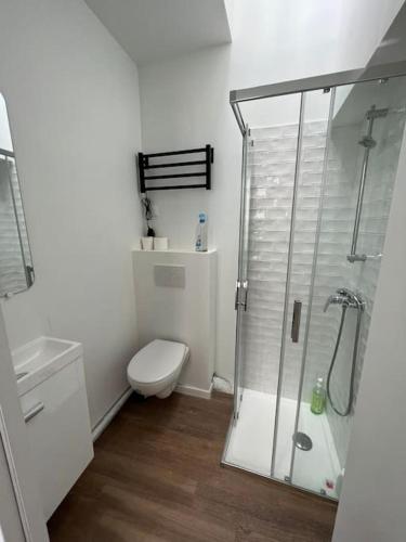 une salle de bain blanche avec douche et toilettes dans l'établissement Small, Studio Cosy, à Reims