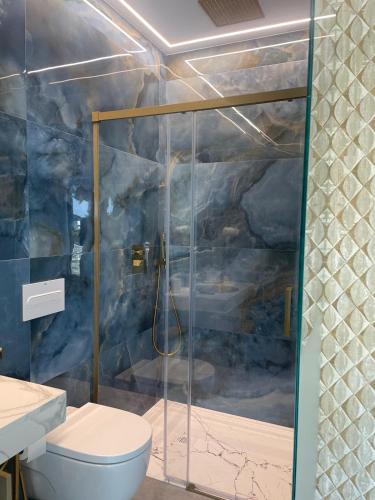 a bathroom with a shower and a toilet at Hotel Boutique Mirasierra in Villacañas