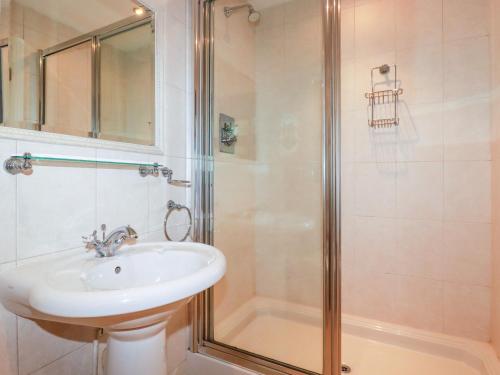 a bathroom with a sink and a shower at Clematis - Lodge 16 in Wadebridge