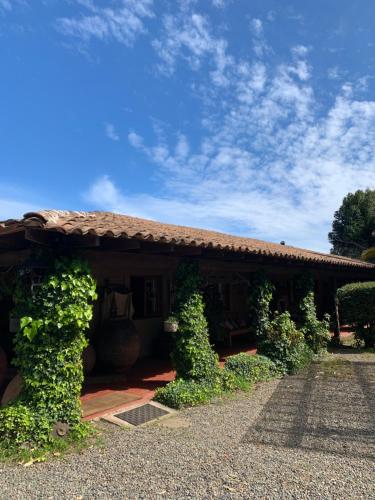 a house with ivy growing up the side of it at Fundo San Bonifacio in Chanco