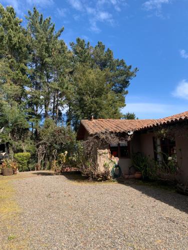 a house with a gravel driveway in front of it at Fundo San Bonifacio in Chanco