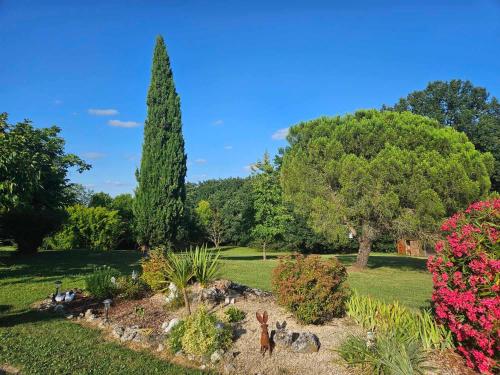 a garden with a tree and some plants at Favau in Villeneuve-sur-Lot