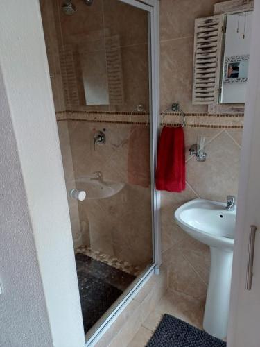 a bathroom with a shower and a sink at La Grâce, Durbanville in Cape Town