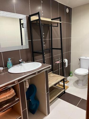 une salle de bain avec un lavabo et des toilettes dans l'établissement Appartement dans maison de village, à Piana