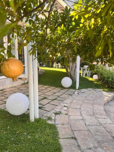 a group of white trees and chairs in a yard at Villa Aurea in Ispica