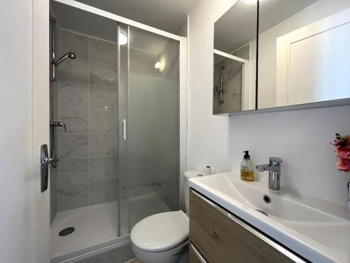une salle de bain avec une douche, des toilettes et un lavabo dans l'établissement Le Studio des Sablons-2 pers-150m place du marche, à Fontainebleau