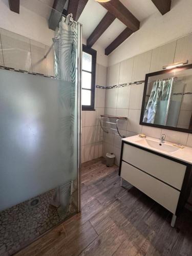 a bathroom with a shower and a sink at La bergerie de lesbordes in Lestajaou