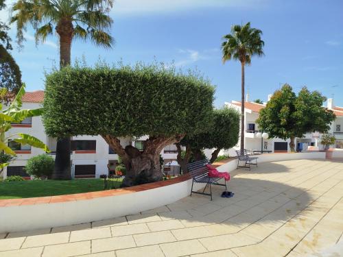 Cadete house