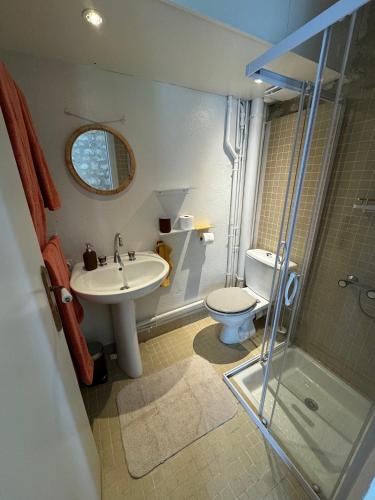une salle de bain avec un lavabo, des toilettes et une douche dans l'établissement Tourelle Basse, à Panzoult