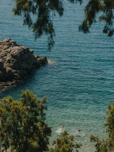 people swimming in the water at a beach at The Wild by Interni in Kalafatis
