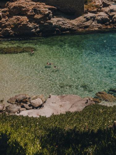 a group of people swimming in a body of water at The Wild by Interni in Kalafatis