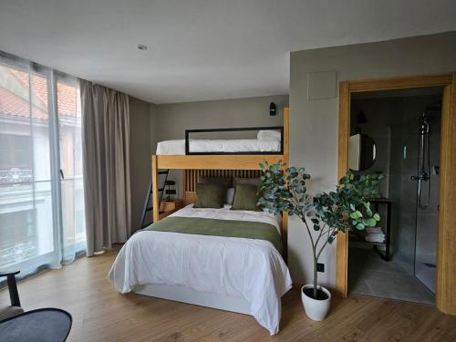 a bedroom with a bed and a plant in it at ZALLE OVIEDO SUITES in Oviedo