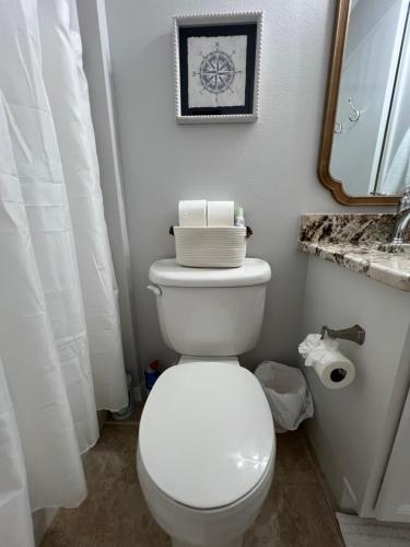 a bathroom with a white toilet and a mirror at Delia Place Florida Oasis With Private Lanai in The Villages