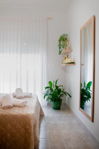 Medea's Luxury Apartment