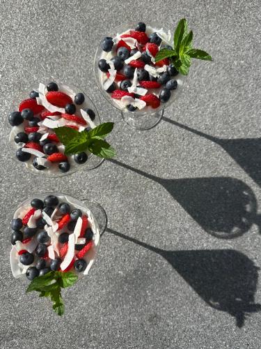two bowls of ice cream and berries on the ground at Wellness apartmány Český ráj & Biokolna in Lomnice nad Popelkou