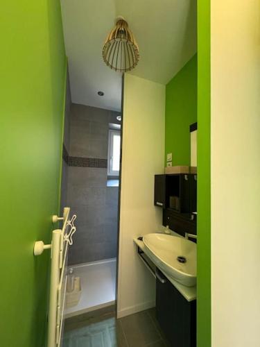 La salle de bains est pourvue de murs verts, d'un lavabo et d'une douche. dans l'établissement Studio neuf proche gare de Grenoble, à Grenoble