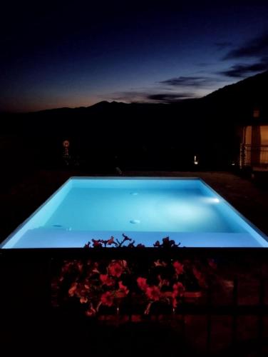 a blue swimming pool at night with a plant at La Genzianella affittacamere in Santo Stefano dʼAveto