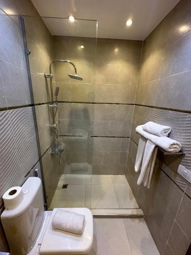 a bathroom with a shower and a toilet at Radiant Pyramids View in Cairo