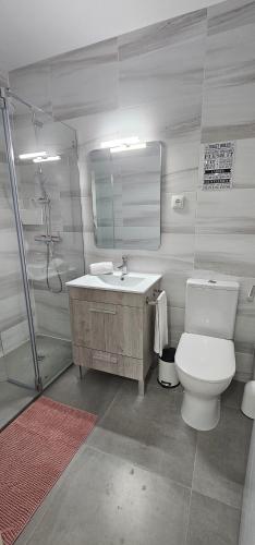 a bathroom with a toilet and a sink and a shower at Benfica Flat in Lisbon
