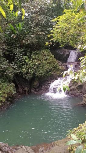 a waterfall in the middle of a pool of water at Posada Nativa Brisa y Mar in Nuquí