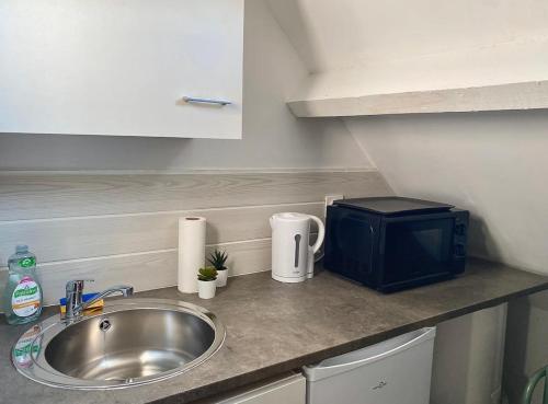 un comptoir de cuisine avec un évier et un micro-ondes dans l'établissement Studio Rue Saint Jean, à Caen