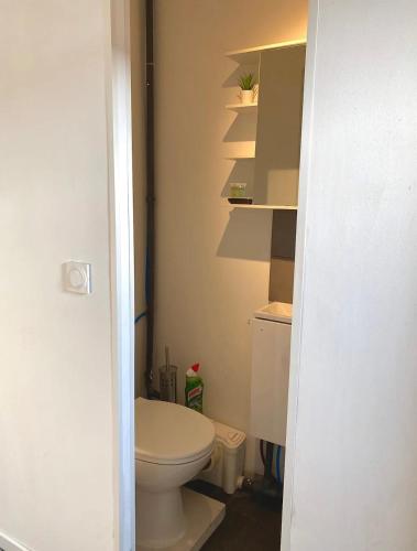 Elle comprend une petite salle de bains pourvue de toilettes et d'étagères. dans l'établissement Studio Rue Saint Jean, à Caen