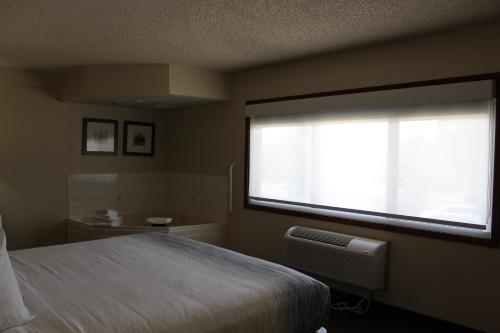 Cama ou camas em um quarto em AmericInn by Wyndham Windsor Ft. Collins