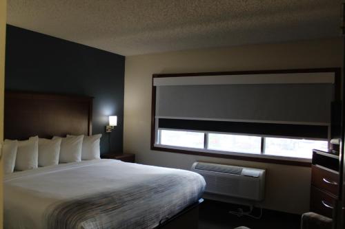 Cama ou camas em um quarto em AmericInn by Wyndham Windsor Ft. Collins