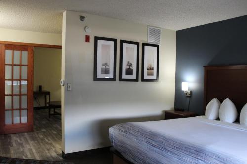 Cama ou camas em um quarto em AmericInn by Wyndham Windsor Ft. Collins