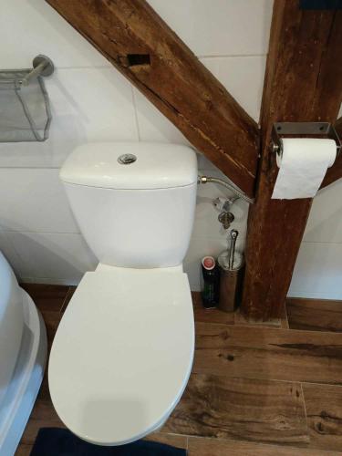 a bathroom with a white toilet in a room at apartament 30 m2 FOR YOU in Szczawno-Zdrój