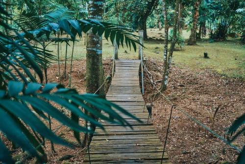 Jardín al aire libre en Riverside Oasis Cabin with A C