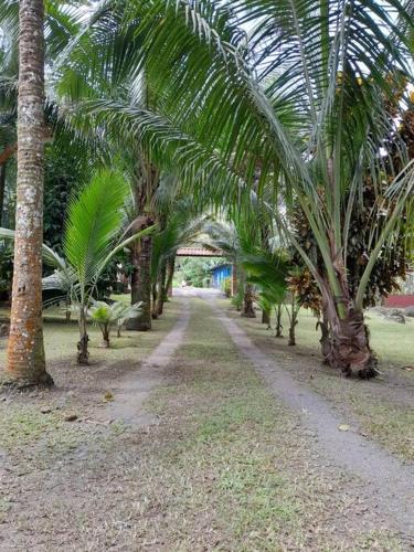 Jardín al aire libre en Riverside Oasis Cabin with A C