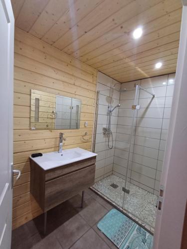 a bathroom with a sink and a shower at Trein d'Ustou in Ustou
