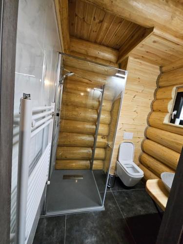 a bathroom with a toilet and a wooden ceiling at Cabana Delena in Vatra Dornei