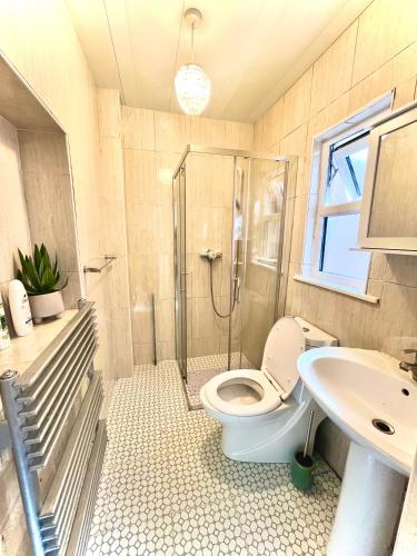 a bathroom with a shower and a toilet and a sink at City Centre D1 - 2 Bedroom Spacious Modern Duplex House in Dublin