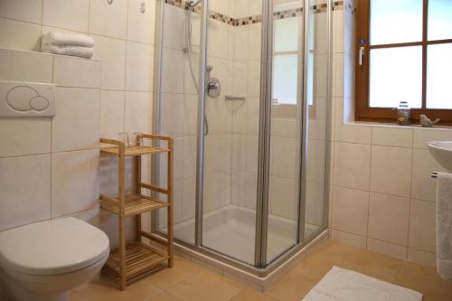 a bathroom with a shower and a toilet and a sink at Die Filzmooserin - Apartments in Filzmoos, Filzmoos Card inklusive in Filzmoos