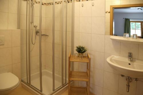 a bathroom with a shower and a toilet and a sink at Die Filzmooserin - Apartments in Filzmoos, Filzmoos Card inklusive in Filzmoos