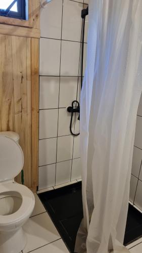a bathroom with a toilet and a shower curtain at Tiny Cabaña para 2 personas en Llifén in llifen