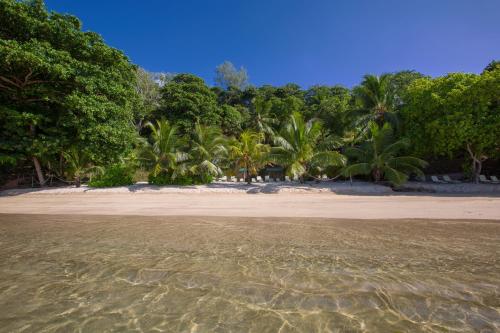 a beach with palm trees and the water at Coco de Mer Hotel and Black Parrot Suites in Grand'Anse Praslin