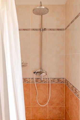 une douche avec un pommeau et un rideau de douche dans l'établissement Maison de vacances 3 chambres avec piscine, à Mourens