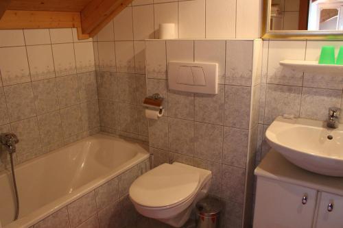 een badkamer met toilet en wastafel bij Himmelbauer Apartments in Söbriach